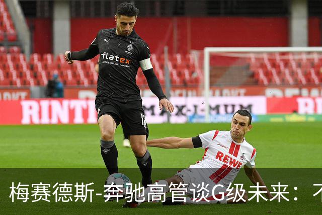 梅赛德斯-奔驰高管谈G级未来：不丢本源，不排除V12发动机回归