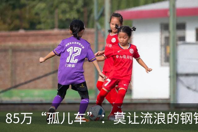 85万“孤儿车”：莫让流浪的钢铁，成为“中国制造”的伤疤